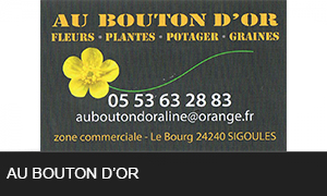 Au bouton d or