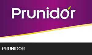 Prunidor